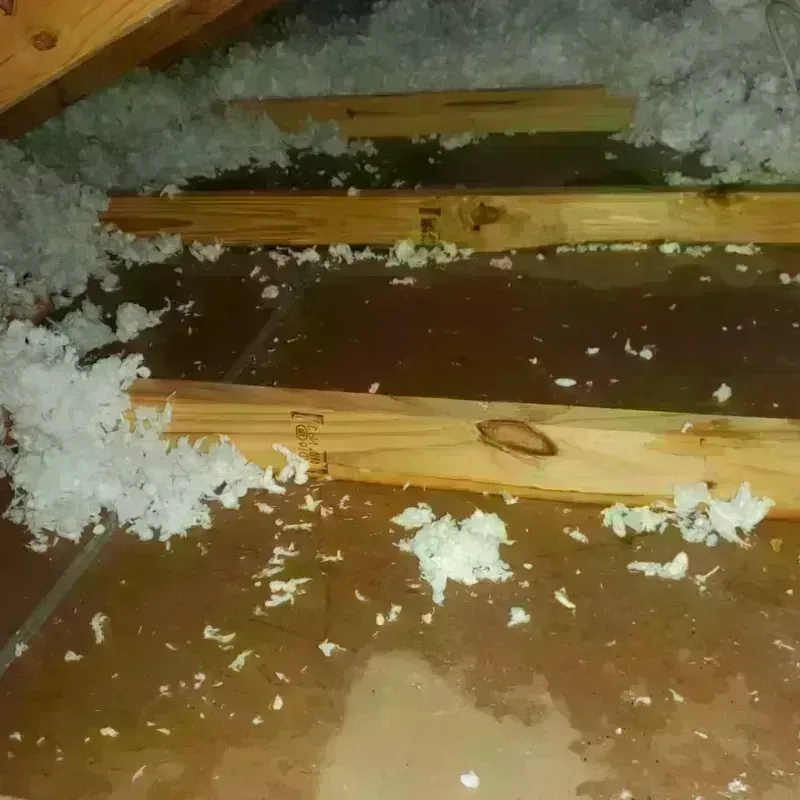 Attic Water Damage in Lewiston, ME